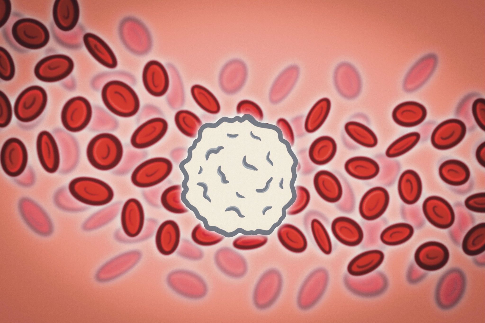 Low White Blood Cell Count While Sick